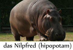 hipopotam.jpg