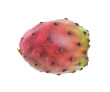 owoc opuncji figowej