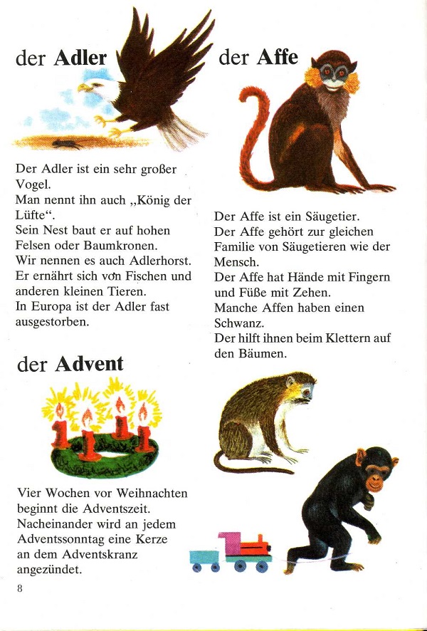 der Adler der Advent der Affe