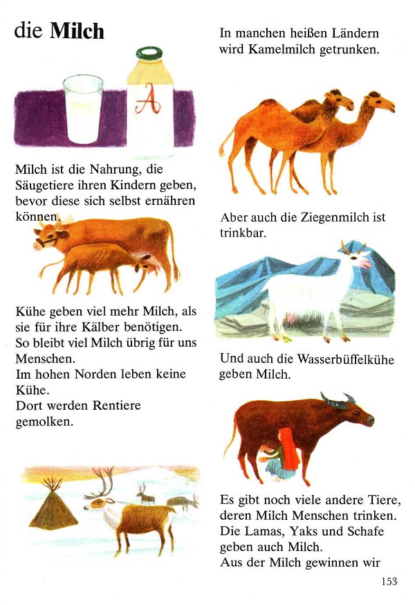 die Milch