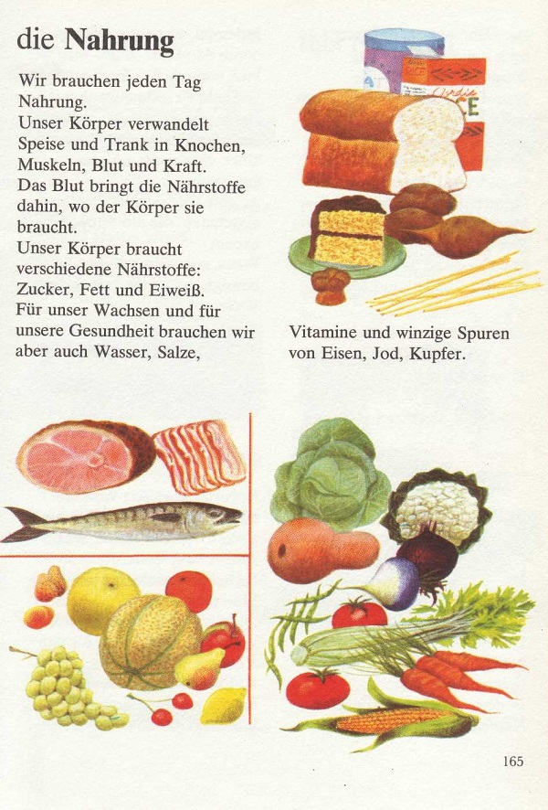 die Nahrung