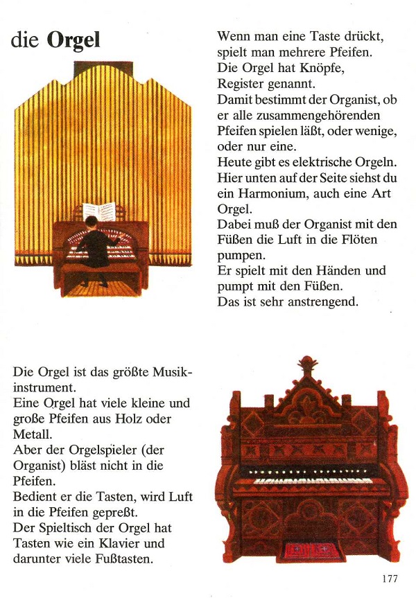 die Orgel