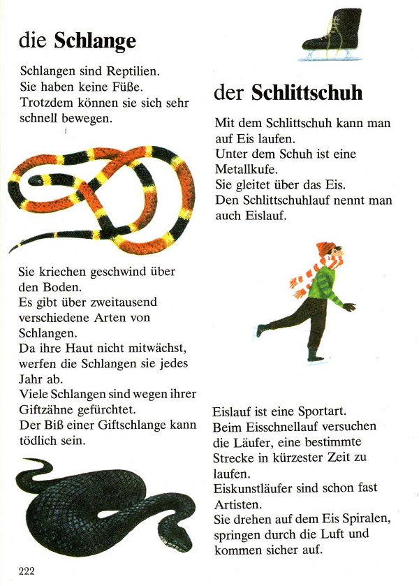 die Schlange