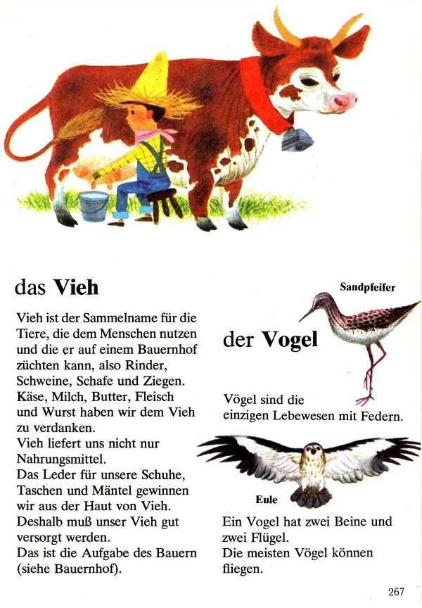 das Vieh