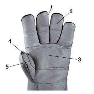 rękawiczka - handschuh